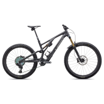 Specialized Stumpjumper Evo S-Works satin carbon/brushed...