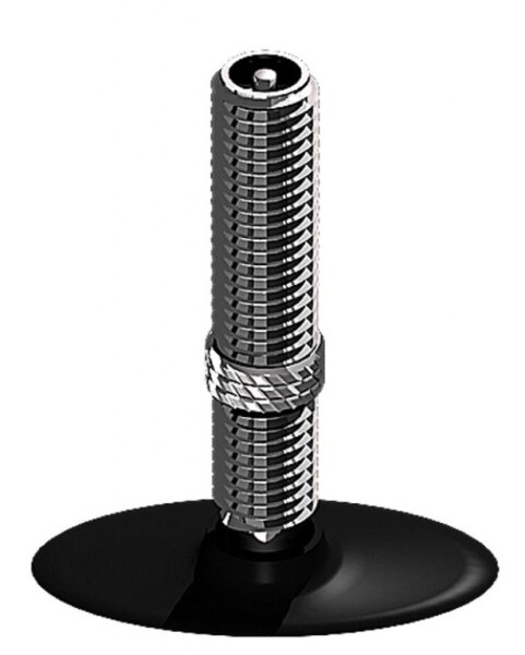 Schwalbe Schlauch AV 21