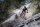 Shimano Kassette Deore XT CS-M8100 12 fach