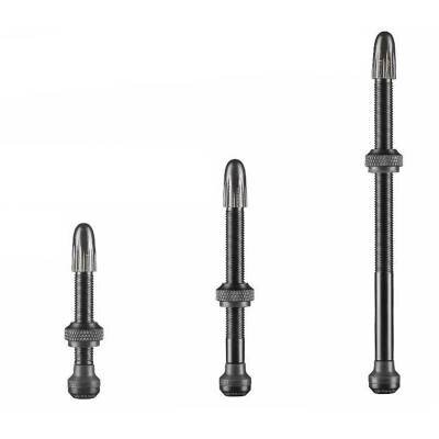 Schwalbe Tubeless Ventil 60mm