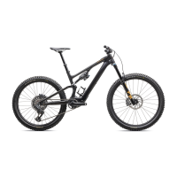 Specialized Levo SL expert carbon /obsidian/bronze