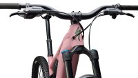 Specialized Turbo Levo 4 Comp Alloy satin dusky pink/cypress metallic