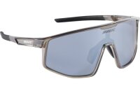 Mavic MVS Speedblast smoke grey/silver